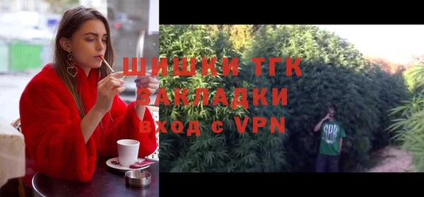 прущие грибы Армянск