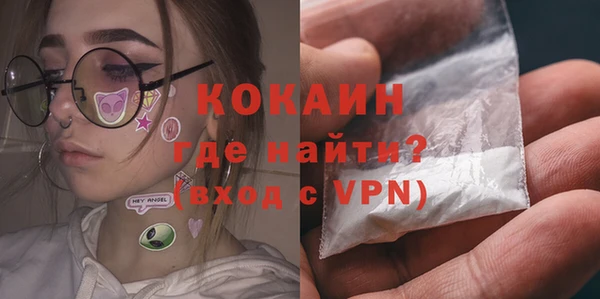 прущие грибы Армянск