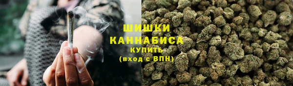 прущие грибы Армянск