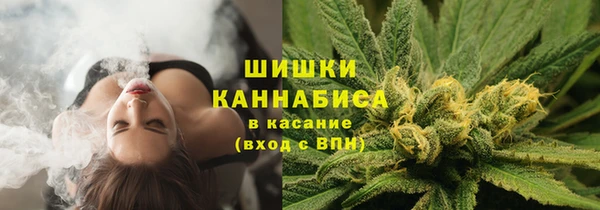 прущие грибы Армянск
