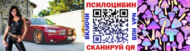 блэк спрут сайт  Котельниково  Галлюциногенные грибы MAGIC MUSHROOMS 